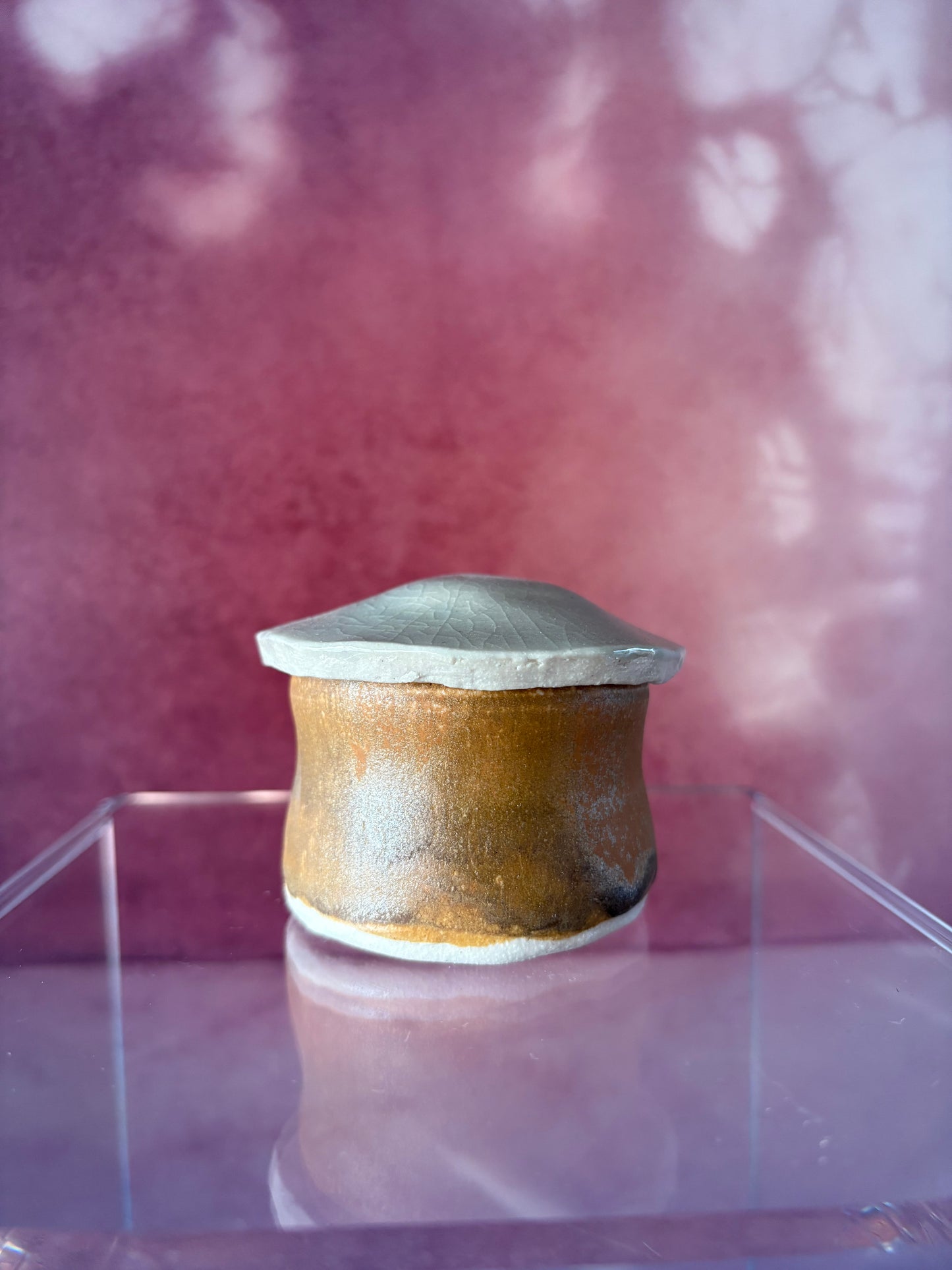 Mushroom Jar